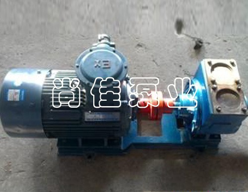 YHCB车载圆弧泵