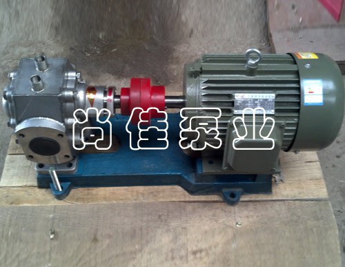 BW不锈钢保温泵